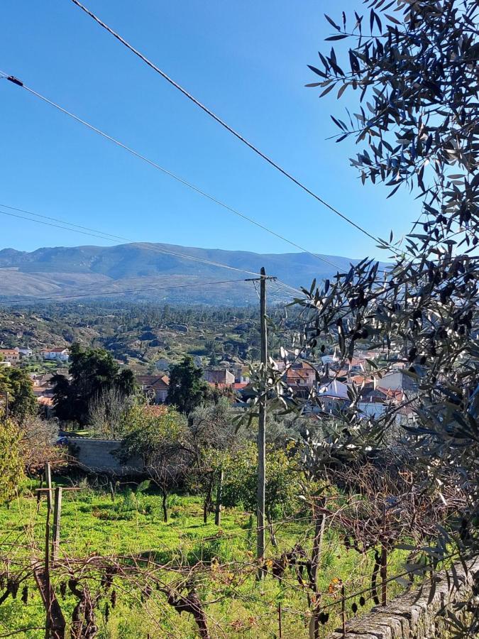 Casa Das Cortes - Serra Da Estrela Lejlighed Gouveia  Eksteriør billede