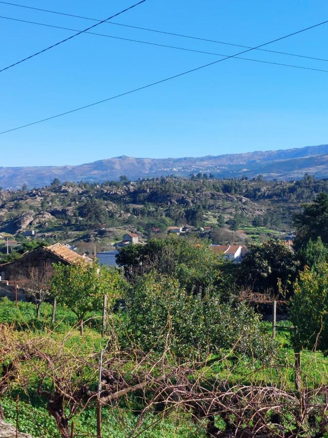 Casa Das Cortes - Serra Da Estrela Lejlighed Gouveia  Eksteriør billede