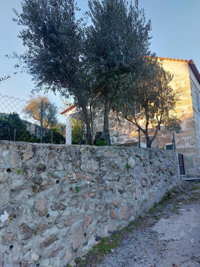 Casa Das Cortes - Serra Da Estrela Lejlighed Gouveia  Eksteriør billede